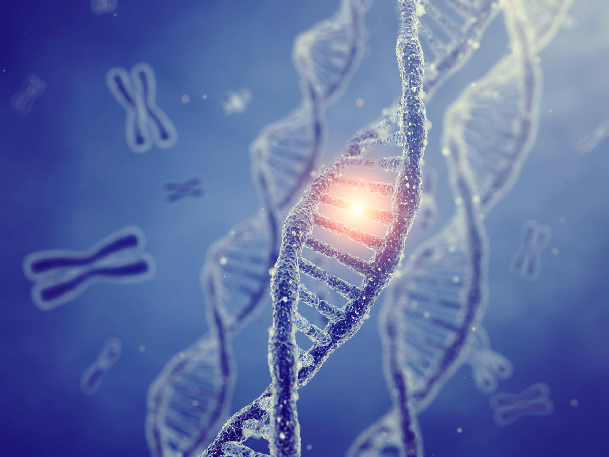 Dna double helix molecules and chromosomes | New Research Shows Red Wine and Chocolate Could Have Anti-Aging Benefits | Red Wine and Chocolate Could Anti Aging
