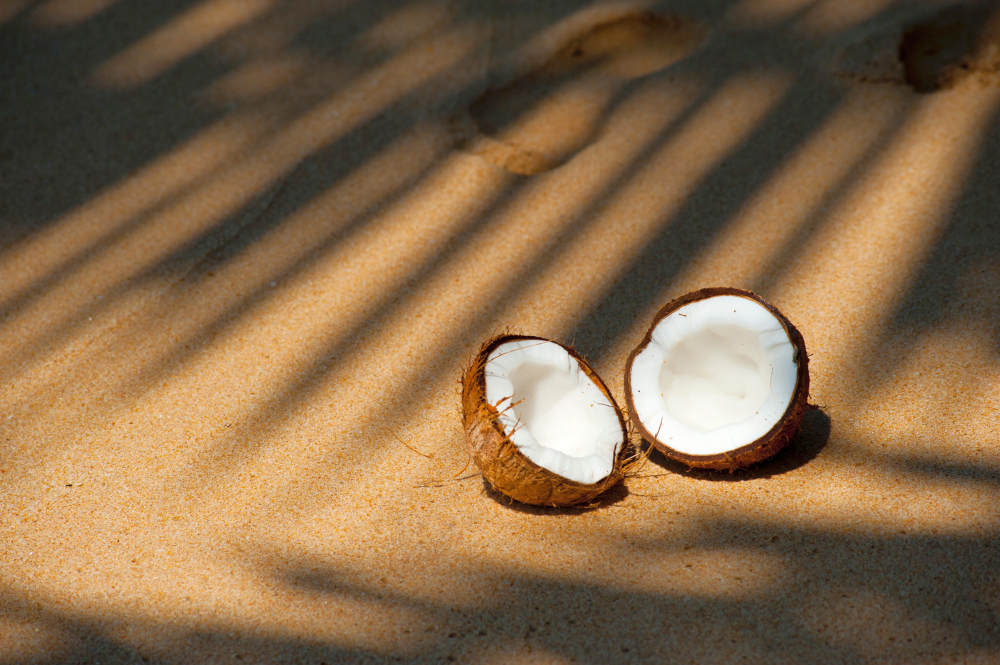 Fresh coconut | Diet For Hypothyroidism: Food To Include In Your Diet Plan | foods to eat with hypothyroidism