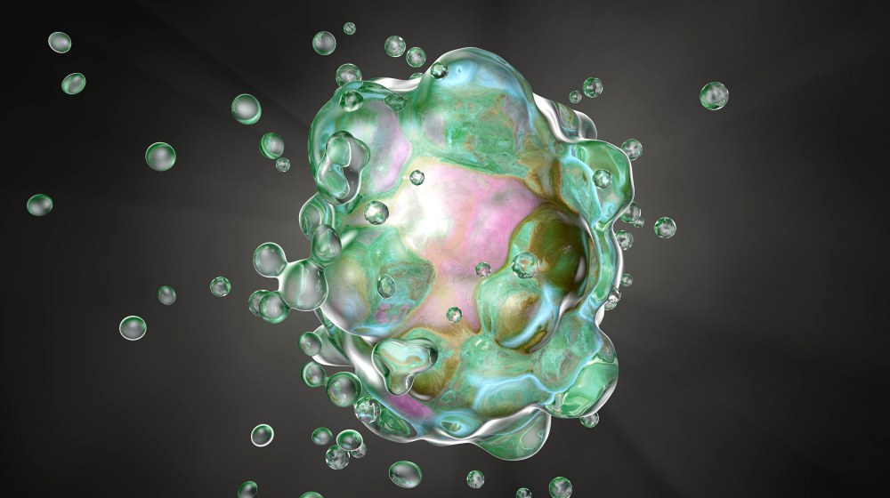 cell apoptosis illustration | NECROSIS VS APOPTOSIS &ndash; How Can They Affect Aging? | necrosis vs apoptosis | avascular necrosis