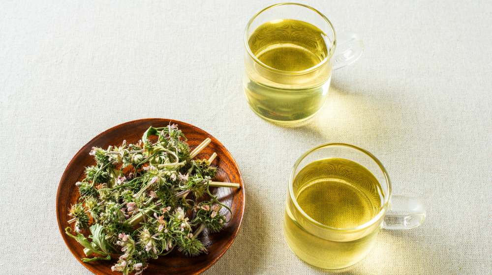 motherwort tea on white surface | Natural Hyperthyroidism Treatments You Can Do At Home | hyperthyroidism treatment | hyperthyroidism treatment diet