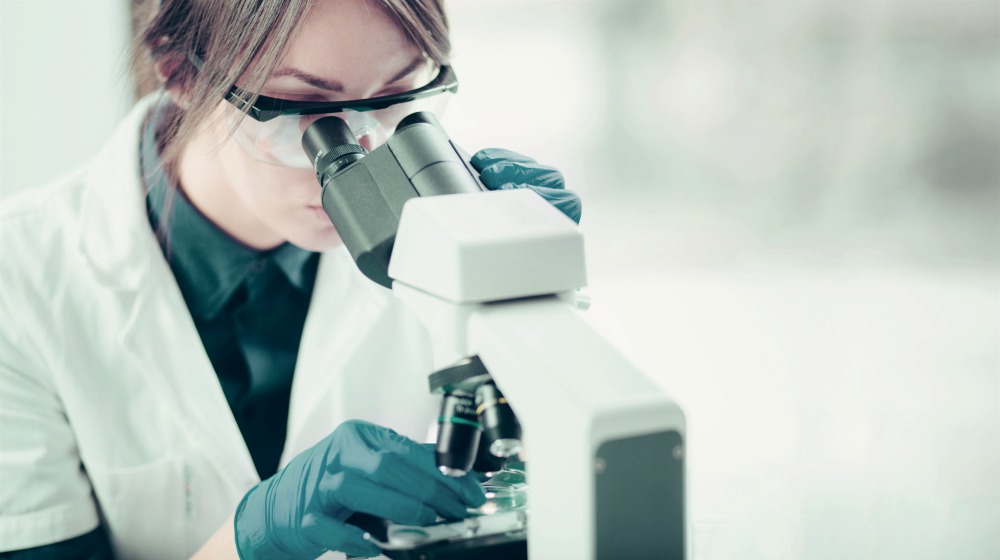 scientist looking through microscope | Tiromel: What You Must Know About This Thyroid Hormone | tiromel | thyroid hormone