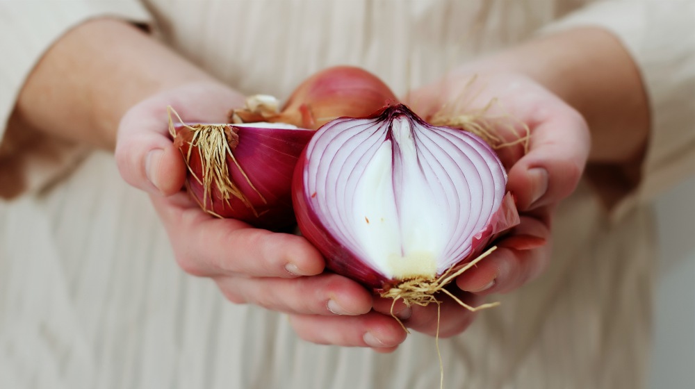 person holding red onions | Winter Wellness Checklist: Stay Fit, Healthy, And Safe This Season | winter wellness | wellness tips for winter