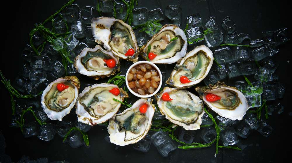 fresh oysters delicacy | Hashimoto Thyroiditis Treatment | Take Care Of Your Liver To Treat The Disease | hashimoto thyroiditis | hashimoto's thyroiditis diagnosis 