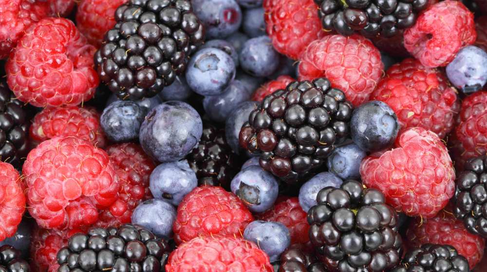 close up shot of berries | Low Thyroid Diet Recipes And Diet Tips | Hypothyroid Diet Plan | low thyroid diet | thyroid diet for weight loss