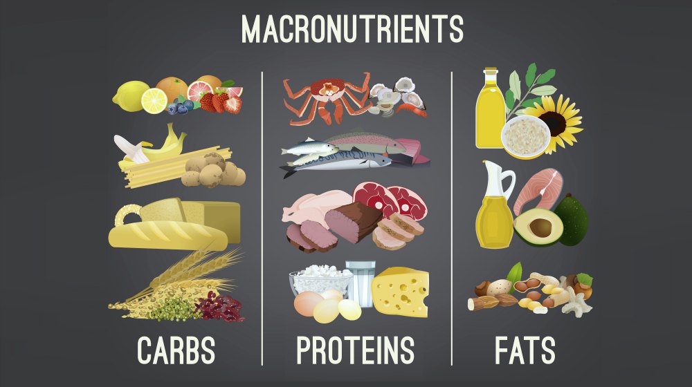 Main food groups for macronutrients | How Many Calories Should I Eat To Gain Muscle? | how many calories should i eat to gain muscle | how many calories to bulk