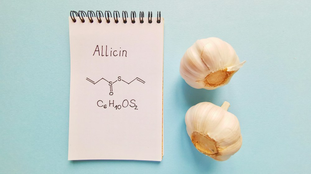 chemical structural formula of allicin written on the notebook with garlic | Power Up: Best Vitamins For Energy | vitamins for energy | vitamin for energy